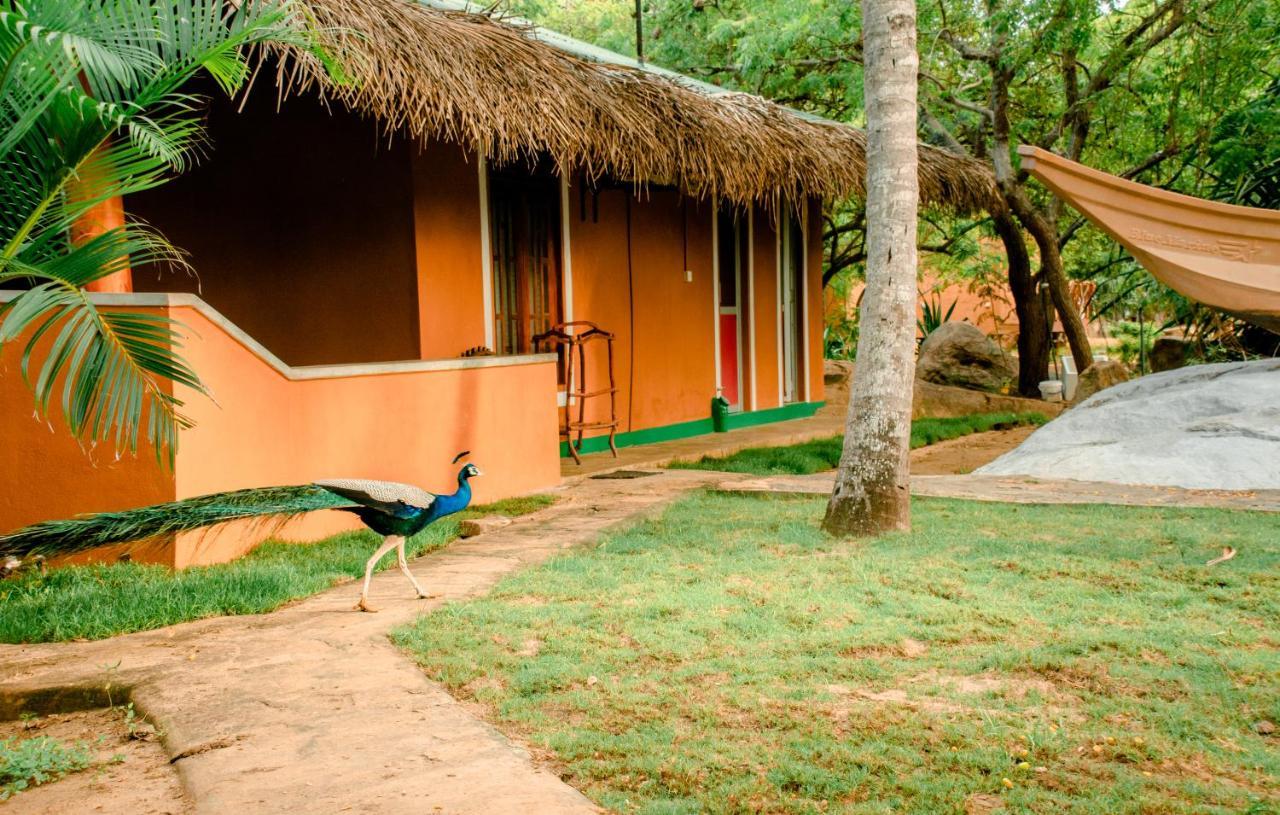 Sarada Beach Resort Yala Tissamaharama Εξωτερικό φωτογραφία